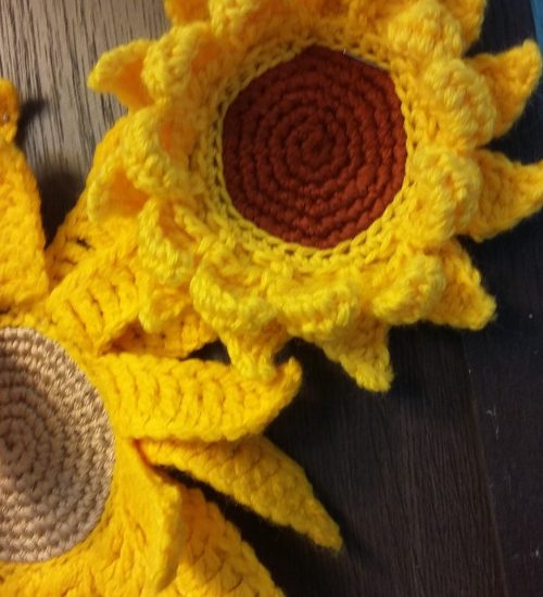 301689942_562456975675701_4266336141024059548_n